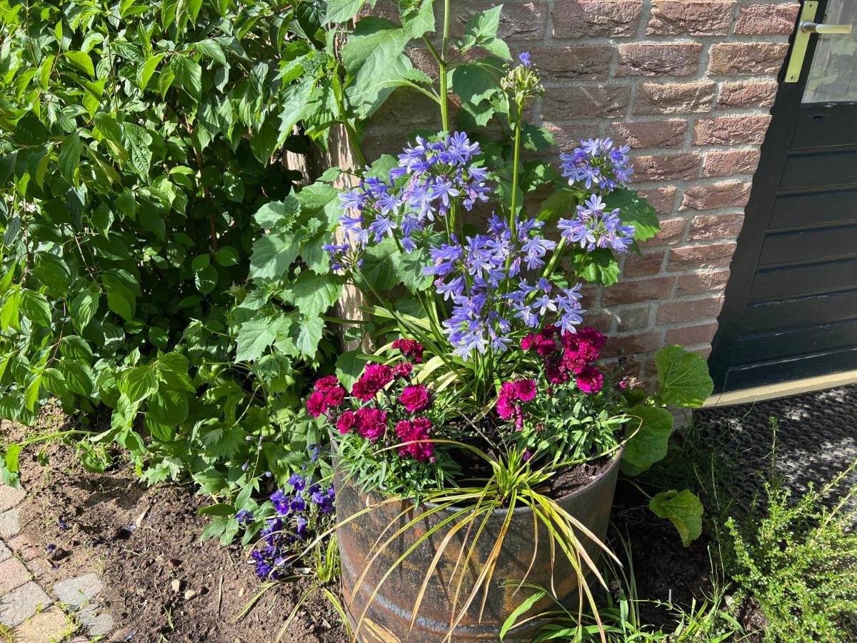 Ewijk Supergezellig Vakantiehuis Met Hele Grote Tuin Bij Nijmegen מראה חיצוני תמונה