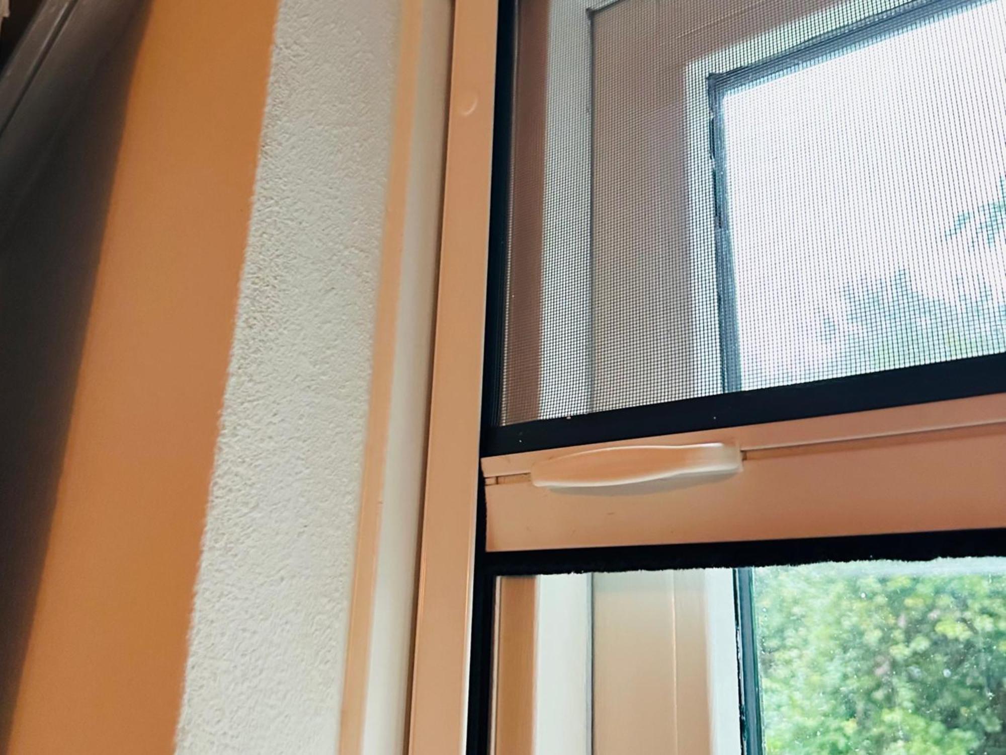 Ewijk Supergezellig Vakantiehuis Met Hele Grote Tuin Bij Nijmegen מראה חיצוני תמונה